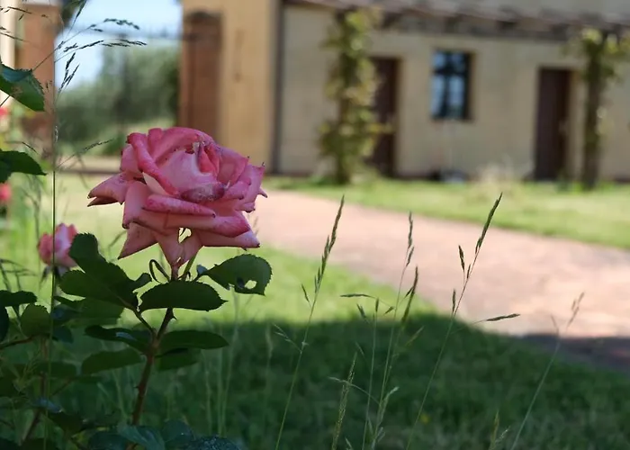 布里尼奥莱别墅酒店